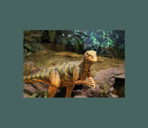 Make a Dinosaur Terrarium