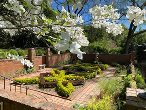 Agecroft Garden Show & Plant Sale