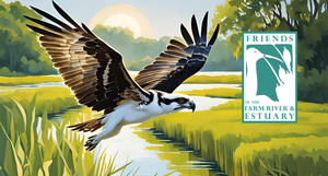 Friends of the Farm River & Estuary Annual Riverside Dance