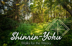 Shinrin-Yoku: Walks for the Weary