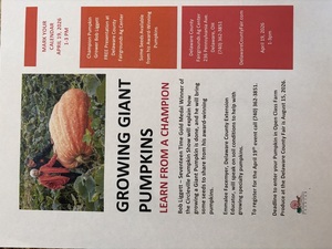 Growing Giant Pumpkins: Learn from a Champion
