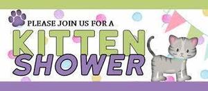Kitten Baby Shower Donation Drive Saturday, May 9, at Second Hand Purrs