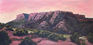 Seeing Double Opening Reception