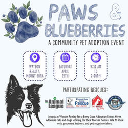 Paws & Blueberries Pet Adoption Event – Mount Dora