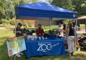 Spring Native Plant Sale @ Brandywine Zoo