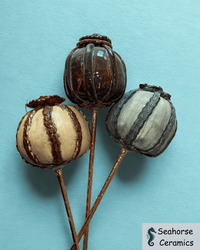 Silicon Valley Open Studios 2026 – Half Moon Bay