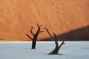 OPENING RECEPTION - 50th Anniversary Ground Glass Photography Exhibition