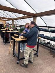 Bonsai Essentials 2: Workshop with Peter Olsen