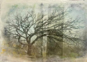 Art: Toward the Trees