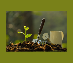 Cornell Cooperative Extension: Companion Planting (Virtual)