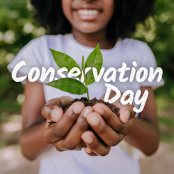 Heartwood Preserve Hosts Free Conservation Day Event