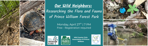 Our Wild Neighbors:  Researching the Flora and Fauna of Prince William Forest Park