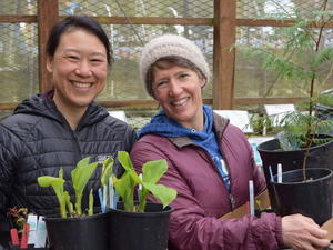 Arboretum Spring Plant Sale