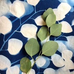 Botanical Blueprints with Linda Clark Johnson