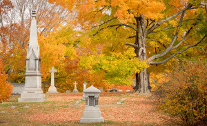 Fall Foliage Tour