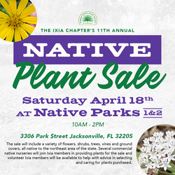11th Annual Native Plant Sale