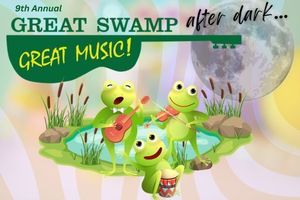Great Swamp Great Music After Dark