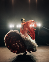Tohono Chul Presents Flamenco in the Garden Event MAY 3