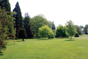 Champion Tree Walk