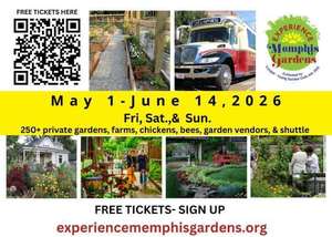 Experience Memphis Gardens: Cooper-Young Gardens Tour