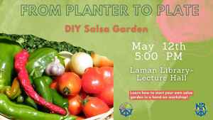 From Planter To Plate: DIY Salsa Garden