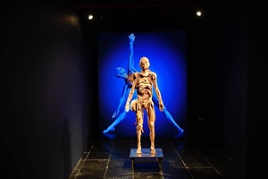 Bodies - The Science Within