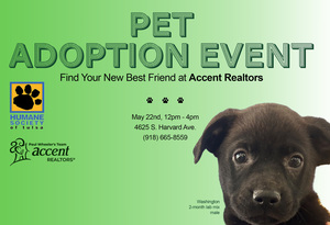Accent Realtors Paws for a Cause
