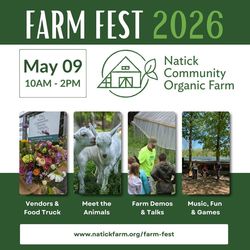 Farm Fest at the Natick Community Organic Farm