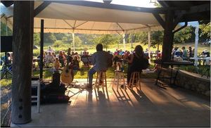 Music in the Meadow
