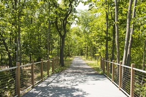 Guided Nature Walk at Emerald Preserve