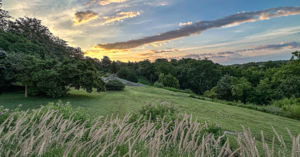 Maymont at 100: Revitalizing a Historic Landscape