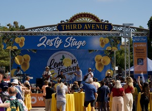 29th Annual Lemon Festival