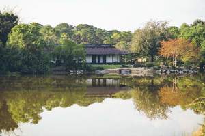 Haha No Hi! Mother's Day at Morikami Museum and Japanese Gardens