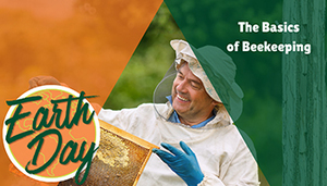 The Basics of Beekeeping