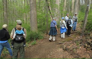 NJ Audubon World Series of Birding – Introductory Walk