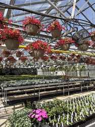 OSU ATI annual Plant Sale