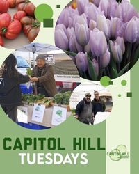 The Capitol Hill Tuesday Farmers Market