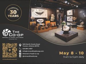 The Co-op Mineral & Fossil Galleries Spring Showcase