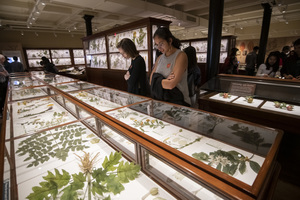 ArtsThursdays: Botanical Wonders