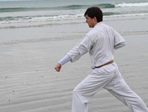 Ueshiro Shorin-Ryu Karate USA class