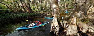 Night for the Natural Areas at Twisted Trunk Brewery