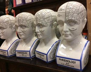 Profs & Pints Nashville: The Rise of the Skull Readers