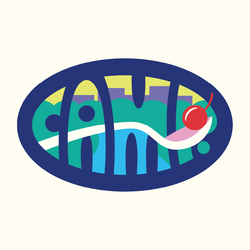 CAMP Minneapolis x Bluey’s Backyard – Spring Special