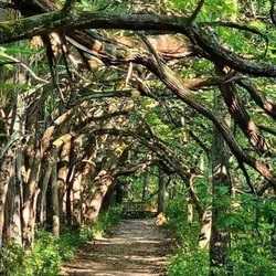 2nd Annual Sugarcreek Metro Park Hike & 5k