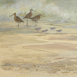 “Bay Area Birds—Natural Wonders Close at Hand” by Floy Zittin