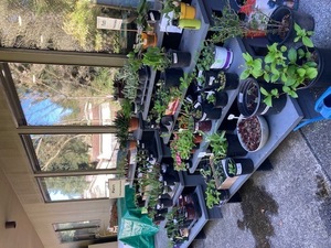 Latvian Community Center Rummage Sale