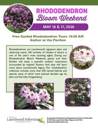 Free Guided Rhododendron Tours