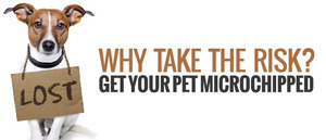 Microchip Clinic Event by Tails of Hope Dog Rescue at Hollywood Feed Bartlett