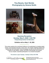Photography Art Show