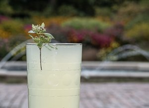 Provisions at the Ponds